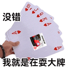 巅峰极速性能