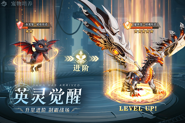 黎明之塔增加