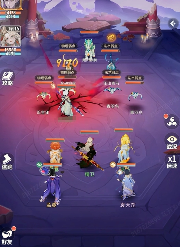 靈獸大冒險更高