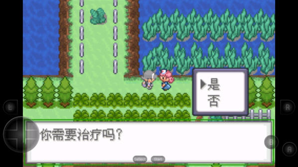 口袋妖怪生与死精灵