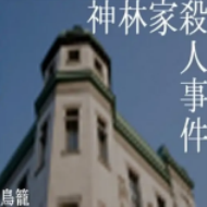 神林家事件