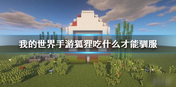 我的世界狐狸