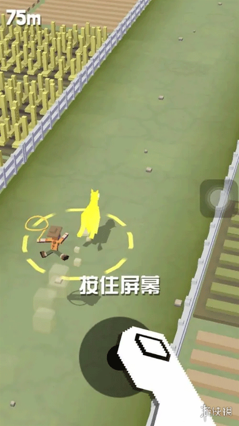 疯狂动物园骑乘