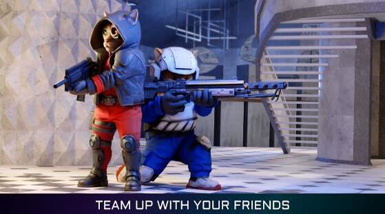 貓咪特工體驗(yàn)