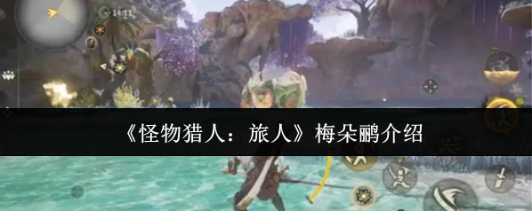 《怪物猎人：旅人》梅朵鹂介绍