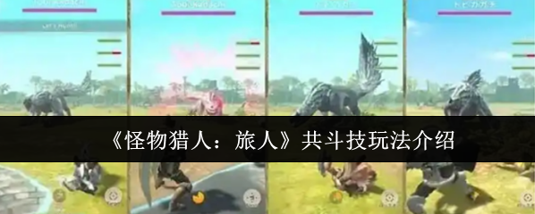 怪物猎人:旅人部位