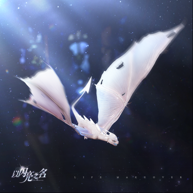 以閃亮之名之名