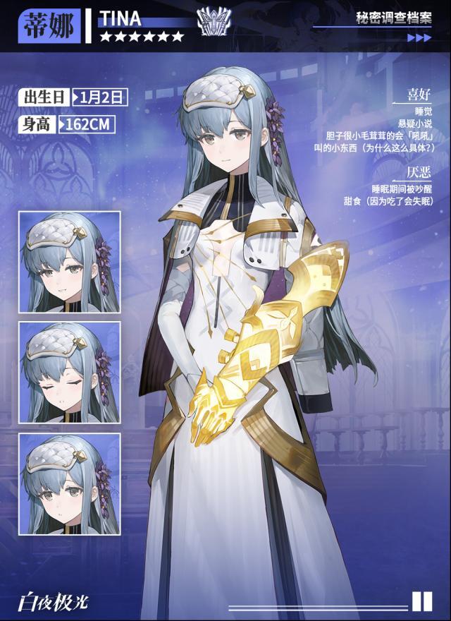 白夜極光看見你