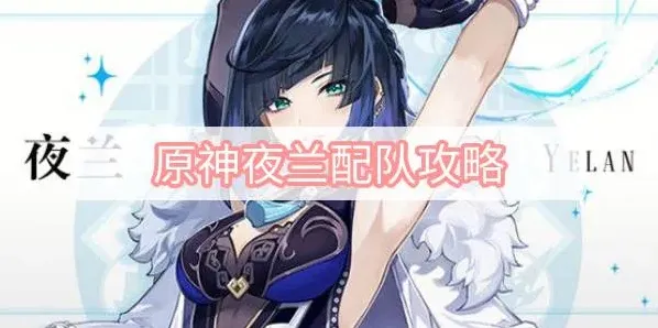 原神夜兰配队攻略