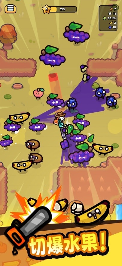 我只是水果水果