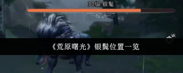 《荒原曙光》銀鬢位置一覽