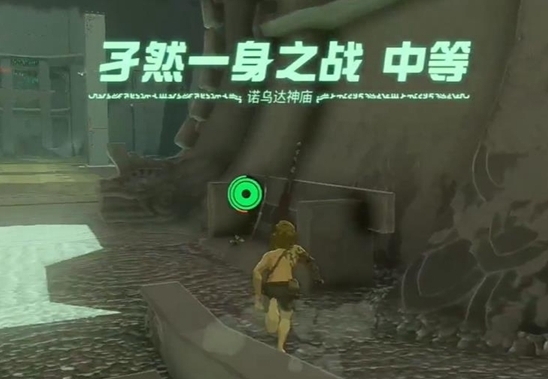 塞爾達傳說王國之淚就能