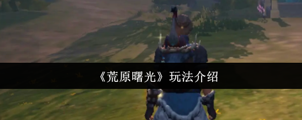 《荒原曙光》玩法介紹