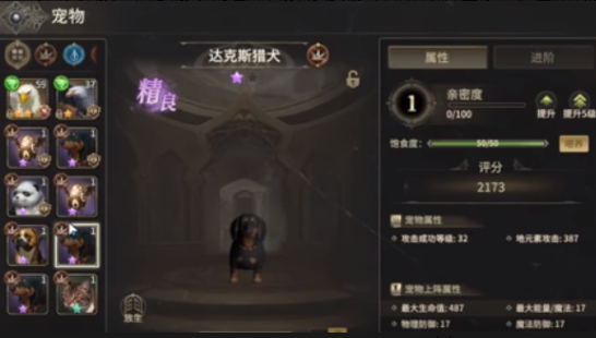 奇迹世界:起源宠物