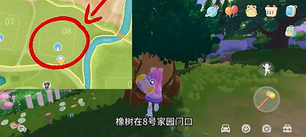 心動(dòng)小鎮(zhèn)橡木