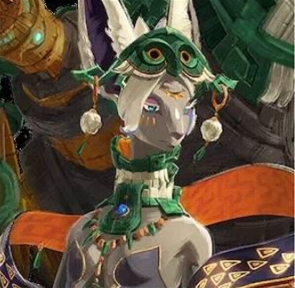 塞爾達(dá)無雙封印戰(zhàn)記利用