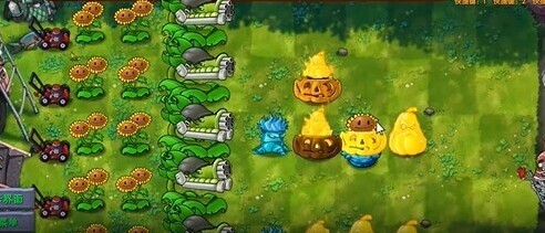 植物大戰(zhàn)僵尸融合版南瓜