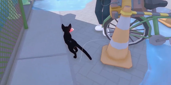 小貓咪大城市叼走