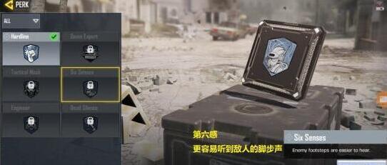 使命召喚第六感