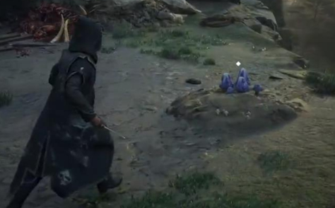 霍格沃茨之遺霍格莫德