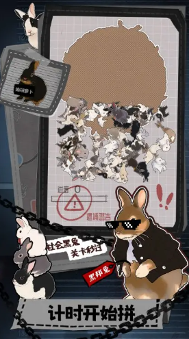 擠在一起的兔兔在一起