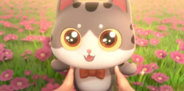 遇見(jiàn)喵小貓