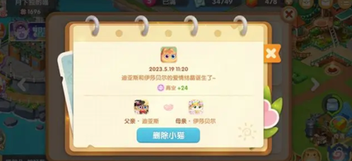 遇見(jiàn)喵橙色