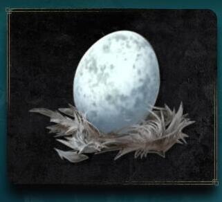 艾爾登法環(huán)貓頭鷹