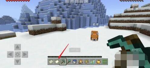 我的世界有很多