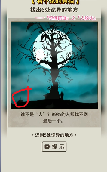 看不见的真相东西