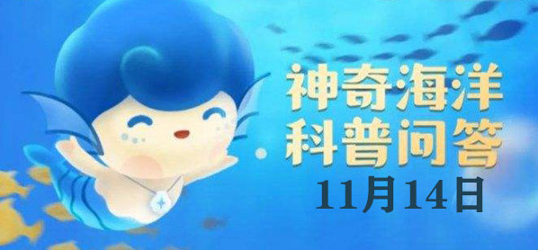 神奇海洋：红树林发达的根系有以下哪种作用