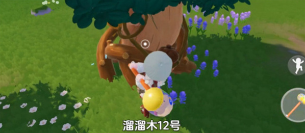 心動小鎮(zhèn)橡木