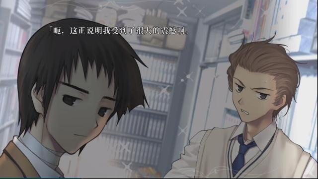 魔法使之夜视觉小说