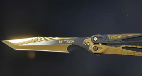 三角洲行動龍牙