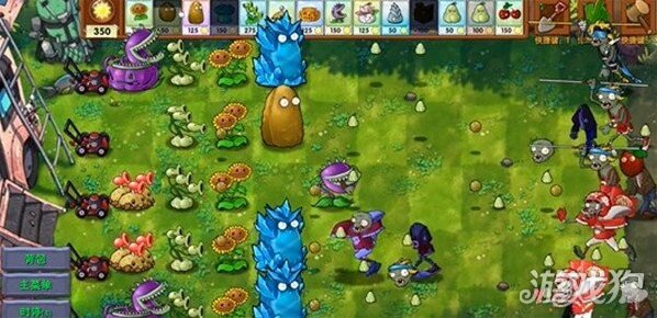 植物大戰(zhàn)僵尸冠軍