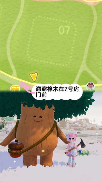 心動小鎮(zhèn)橡木