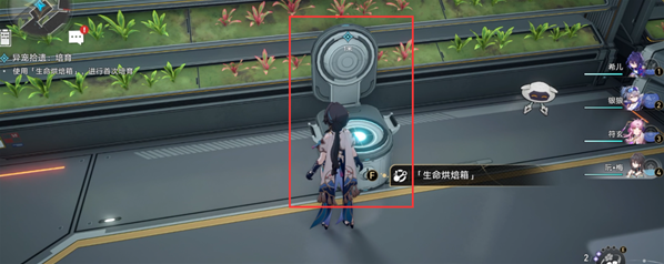 崩坏星穹铁道培育