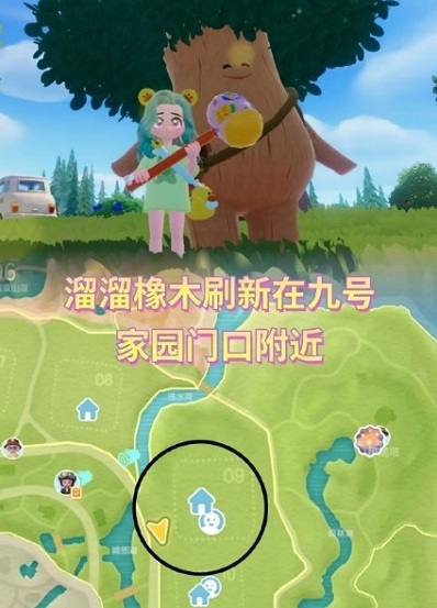 心動小鎮(zhèn)橡木