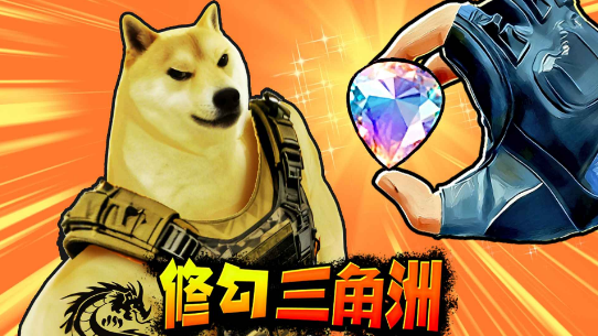 修狗三角行动搜打