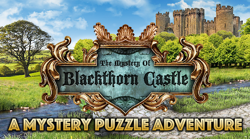 黑荊棘城堡之謎用戶需求