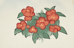 桃源深处有人家牵牛花