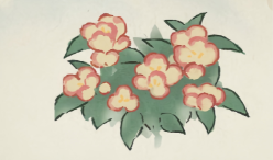 桃源深处有人家凤仙花