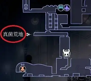 空洞骑士泪水之城怎么去 空洞骑士泪水之城攻略