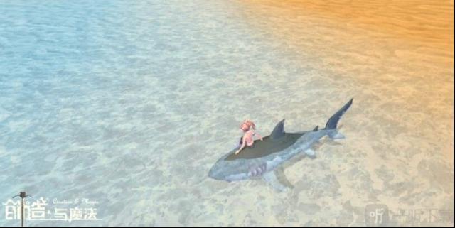 创造与魔法鲨鱼位置分布图 创造与魔法鲨鱼位置揭秘