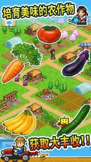 大空庄园汉化版农场