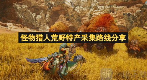 怪物猎人荒野特产采集路线分享