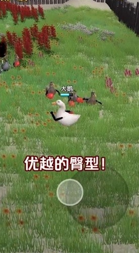 长手的鸭子下载