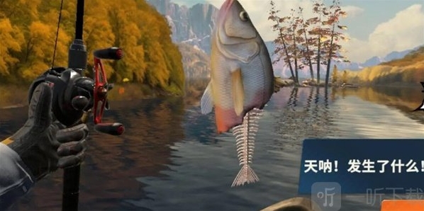 欢乐钓鱼大师大师