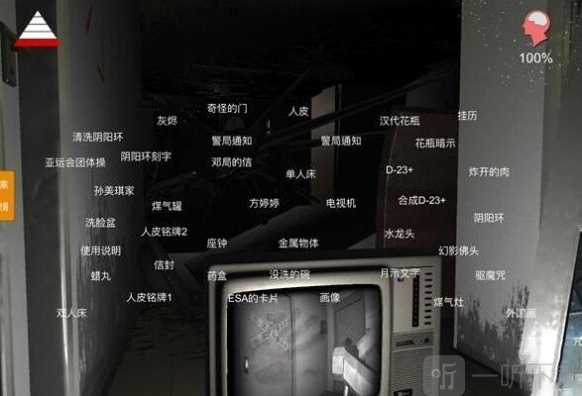 孙美琪疑案王勇