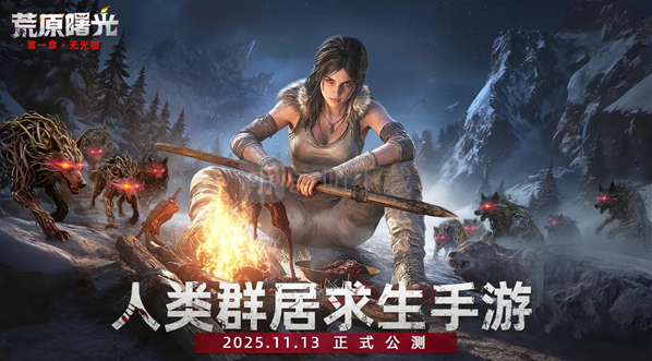 荒原曙光兑换码